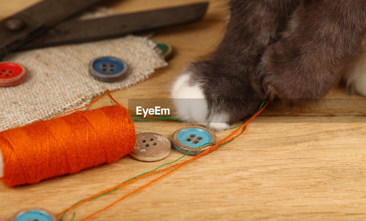 Cropped image of cat by buttons and thread on table