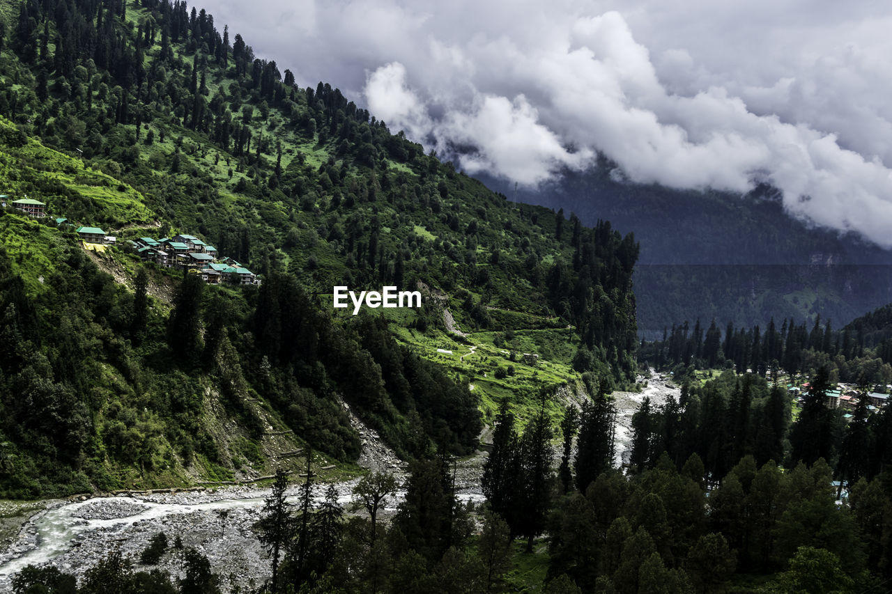Panoramic view of trees and mountains against sky