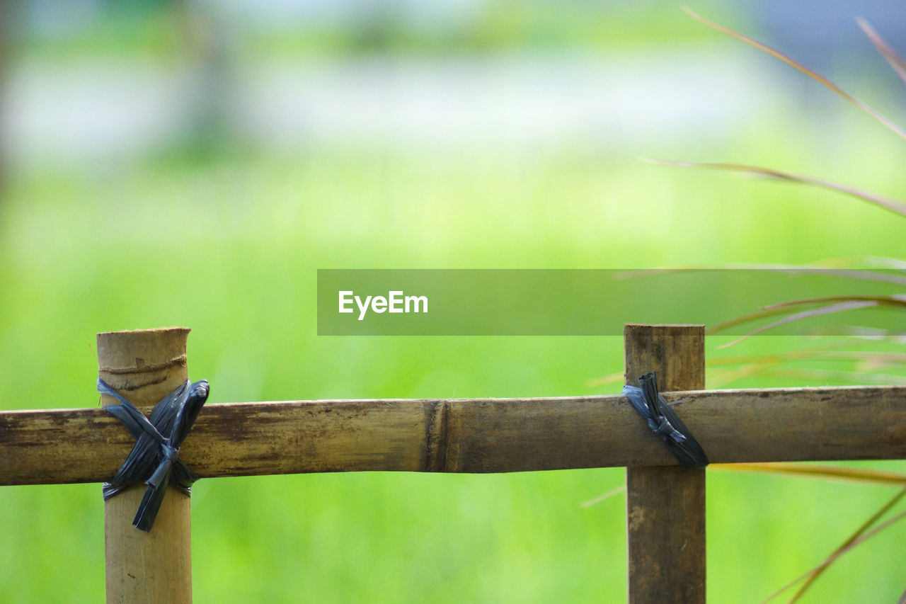 Close-up of bamboo fence on field