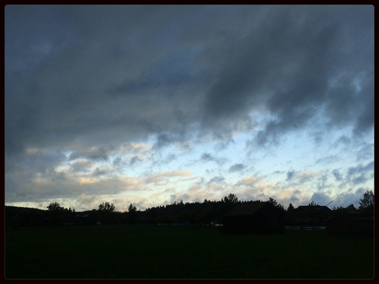 TREES ON FIELD AGAINST CLOUDY SKY