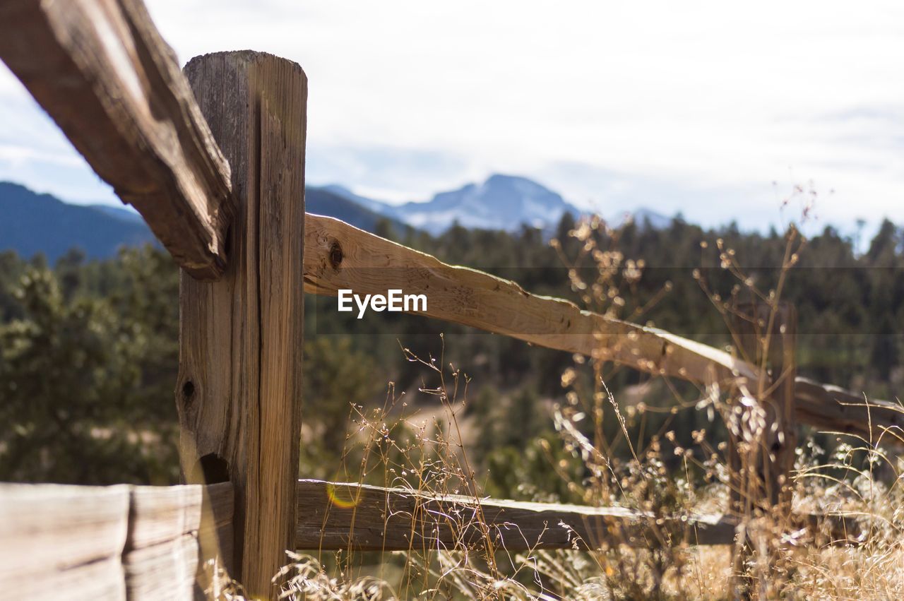 CLOSE-UP OF WOODEN POST AGAINST PLANTS ON FIELD