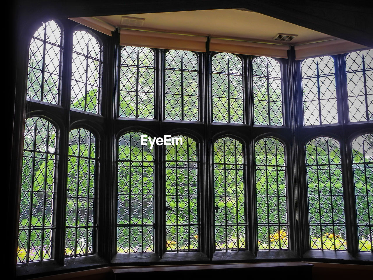 VIEW OF GREENHOUSE IN WINDOW