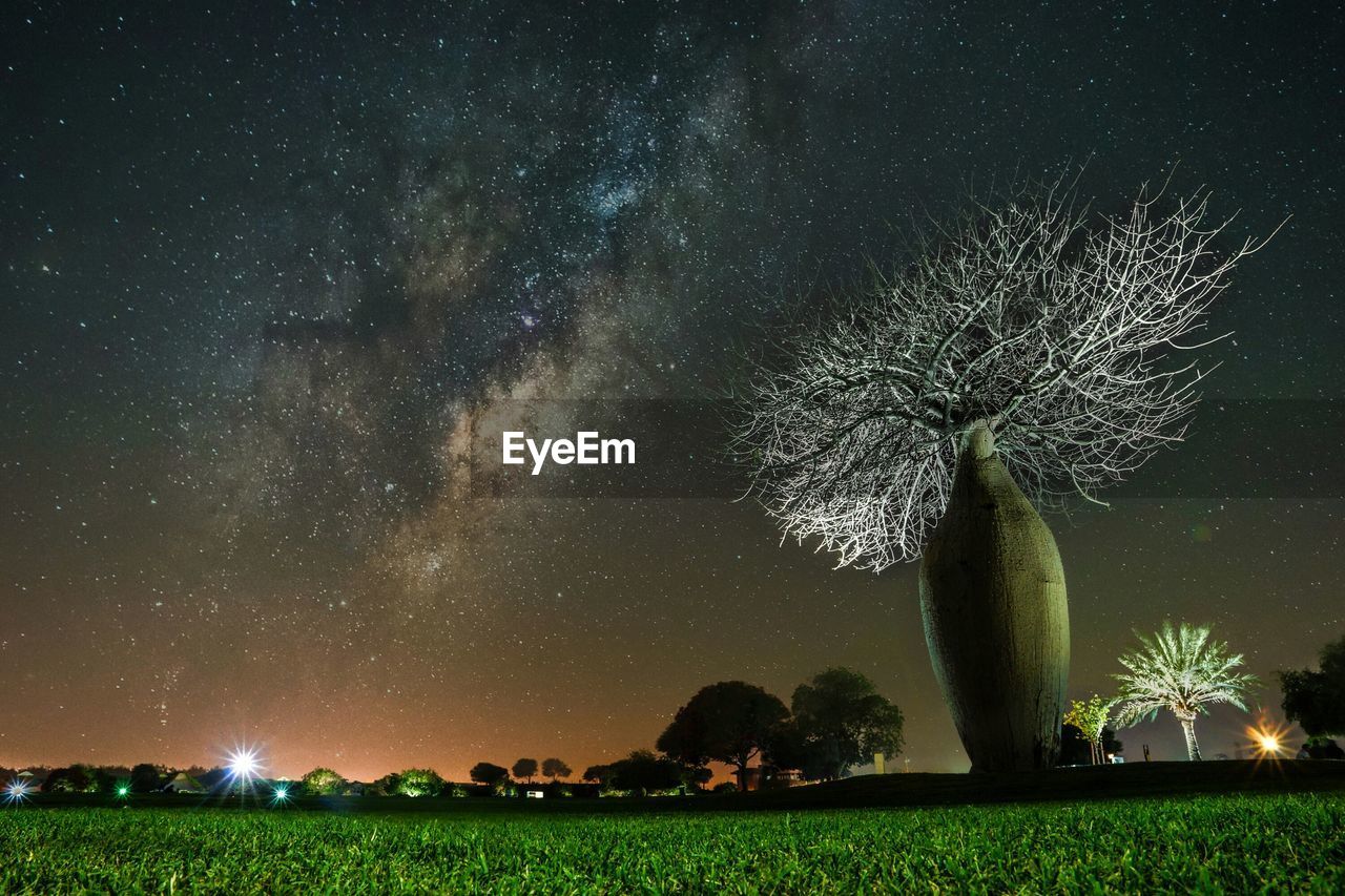 Trees on grassy field against star field at night