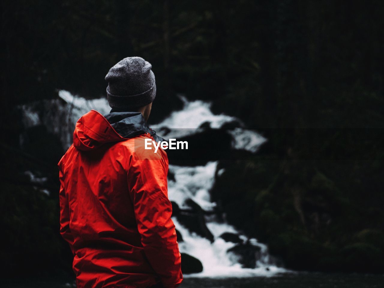 Rear view of man standing by waterfall at forest