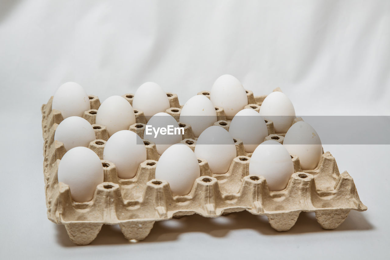 HIGH ANGLE VIEW OF EGGS IN WHITE BACKGROUND