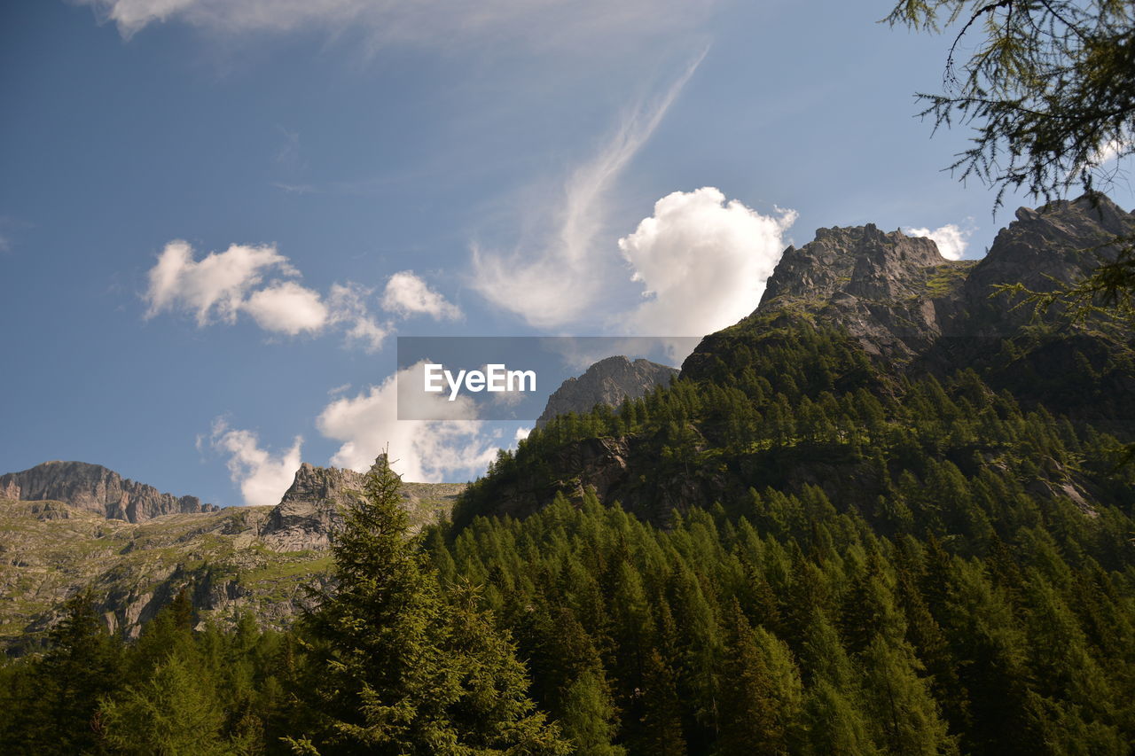 Panoramic view of trees and mountains against sky