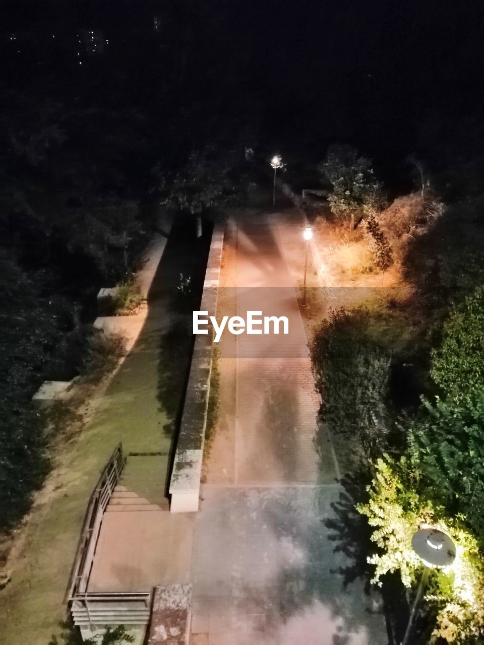 ILLUMINATED ROAD BY TREES AT NIGHT