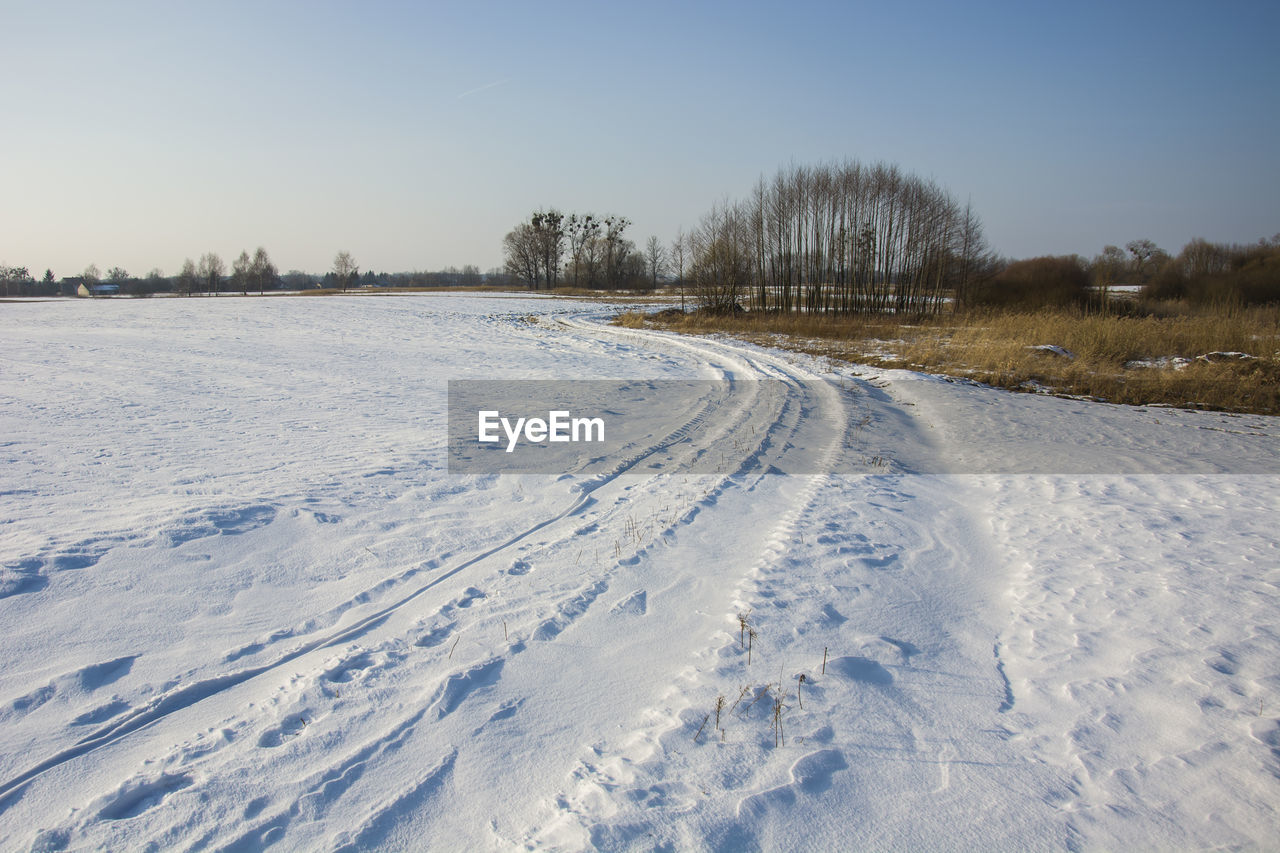 Field and road covered with snow and trees