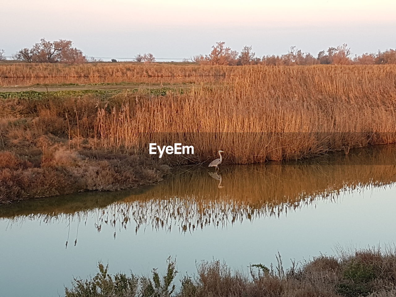 REFLECTION OF TREES IN LAKE AGAINST SKY