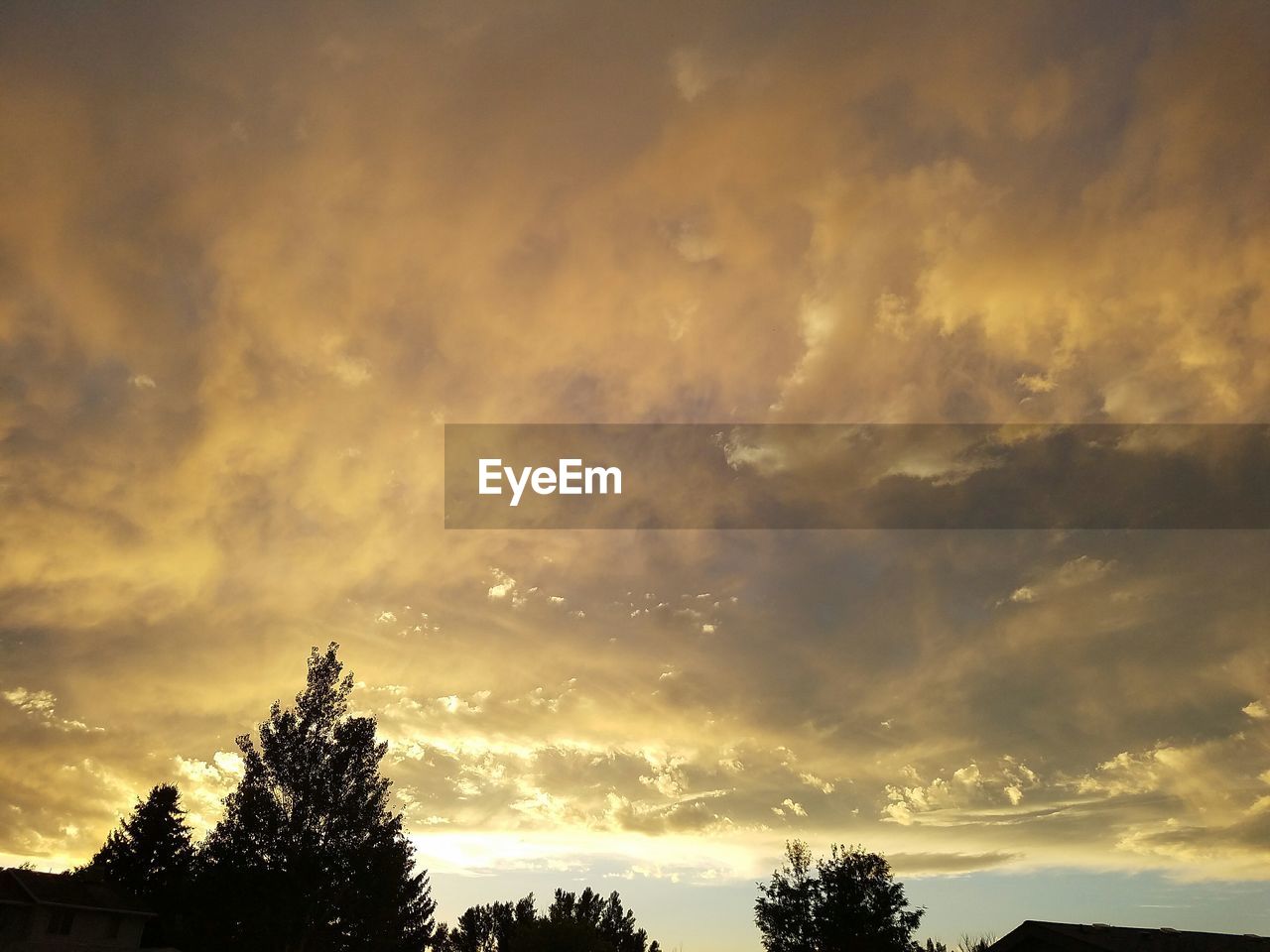 SILHOUETTE OF TREES AGAINST CLOUDY SKY