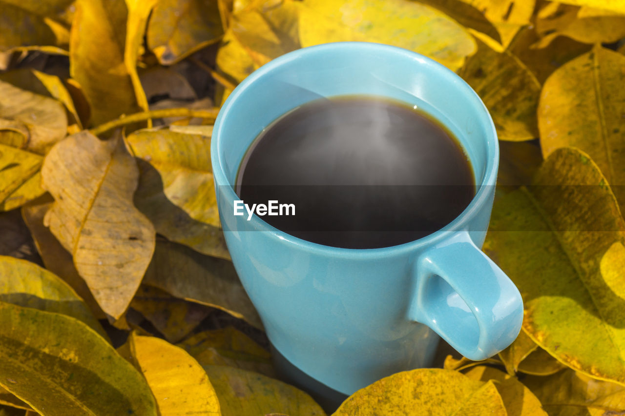 High angle view of coffee cup on leaves