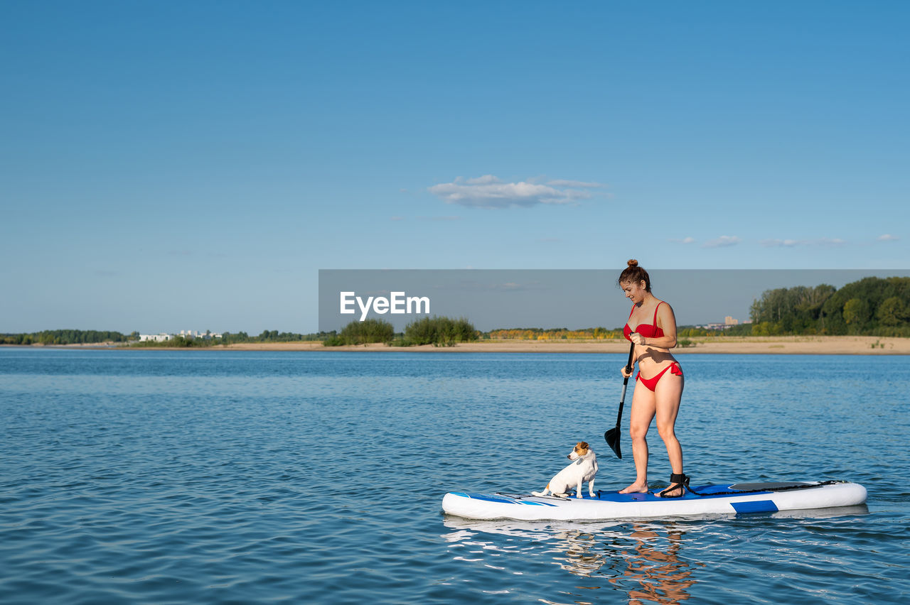 Dog swims on the board with the owner. a woman and her pet spend time together at the lake