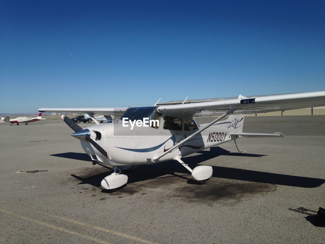 VIEW OF TREES AGAINST CLEAR BLUE SKY