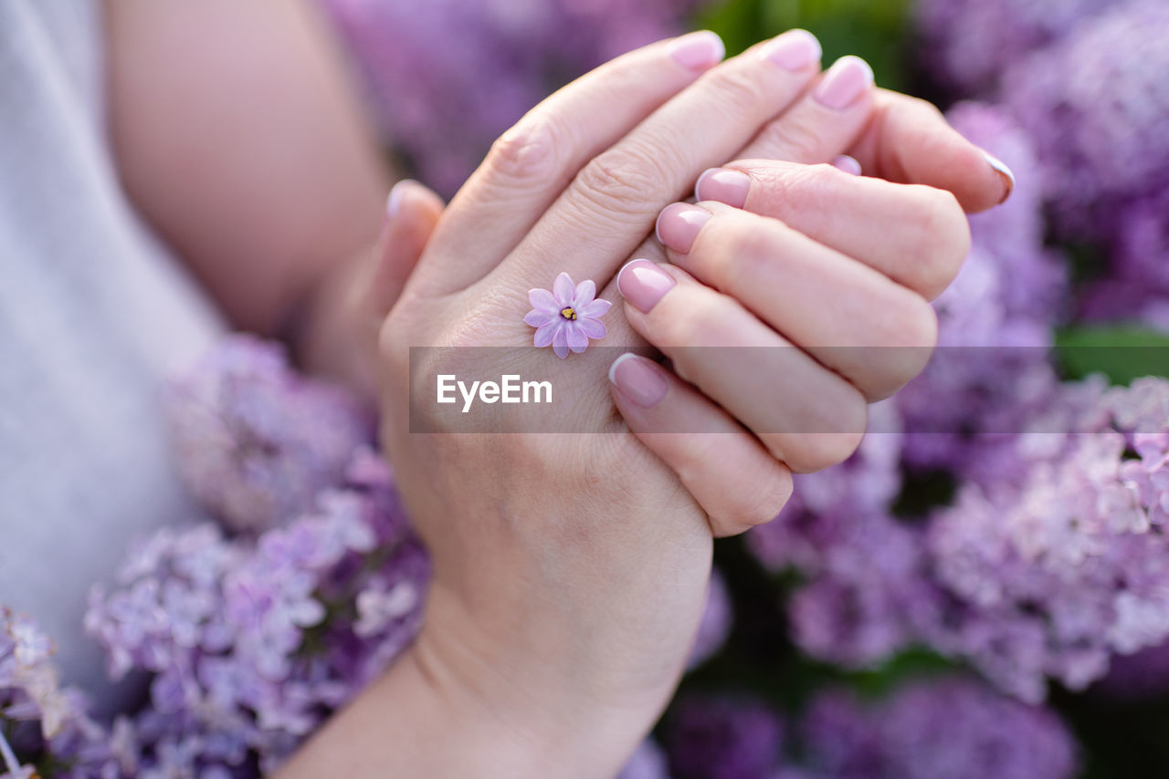 Beautiful woman hands with french manicure over lilac flowers close up. beauty procedure