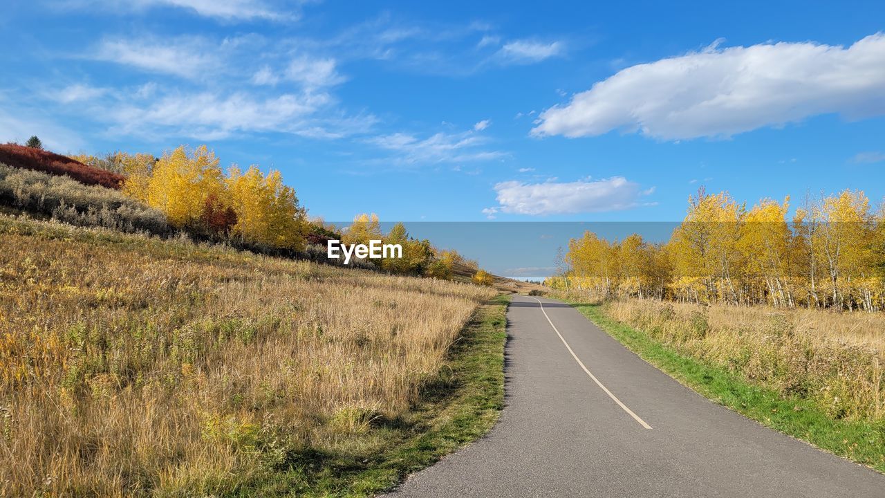 ROAD AMIDST PLANTS AND TREES AGAINST SKY