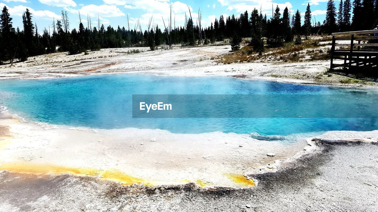 Hot spring by trees against sky