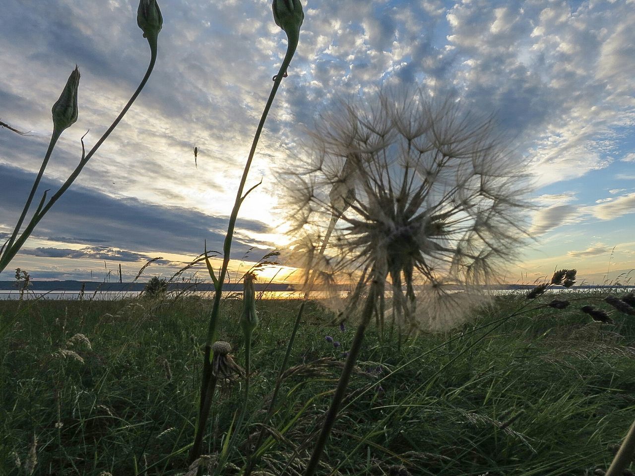 VIEW OF FIELD AGAINST CLOUDY SKY