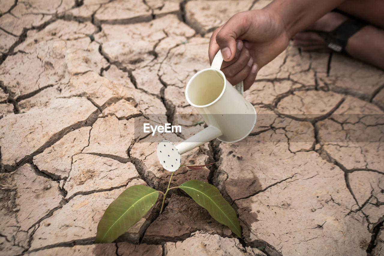 Low section of man watering plant on barren field