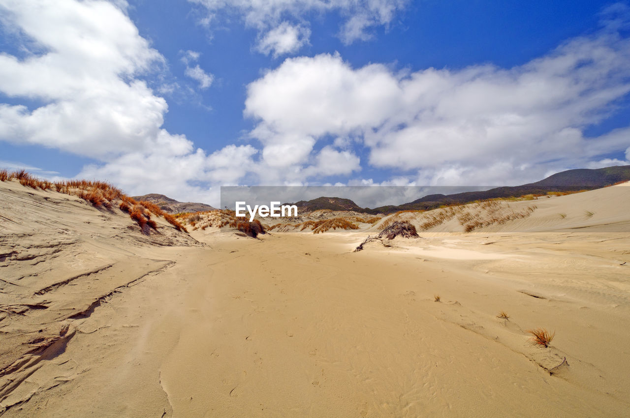 Sand dunes on mason bay in stewart island of new zealand