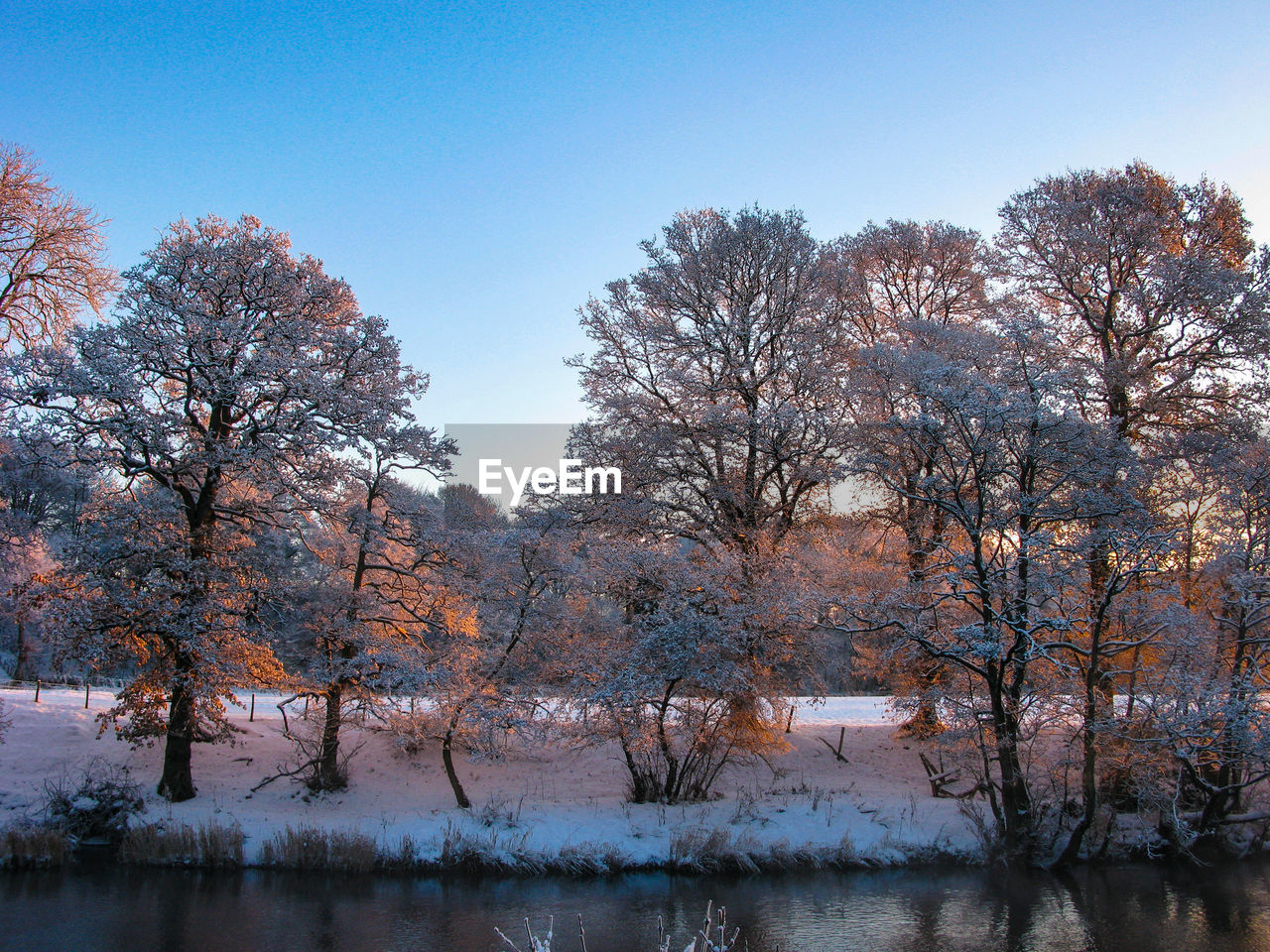 BARE TREES ON SNOW COVERED LANDSCAPE AGAINST SKY