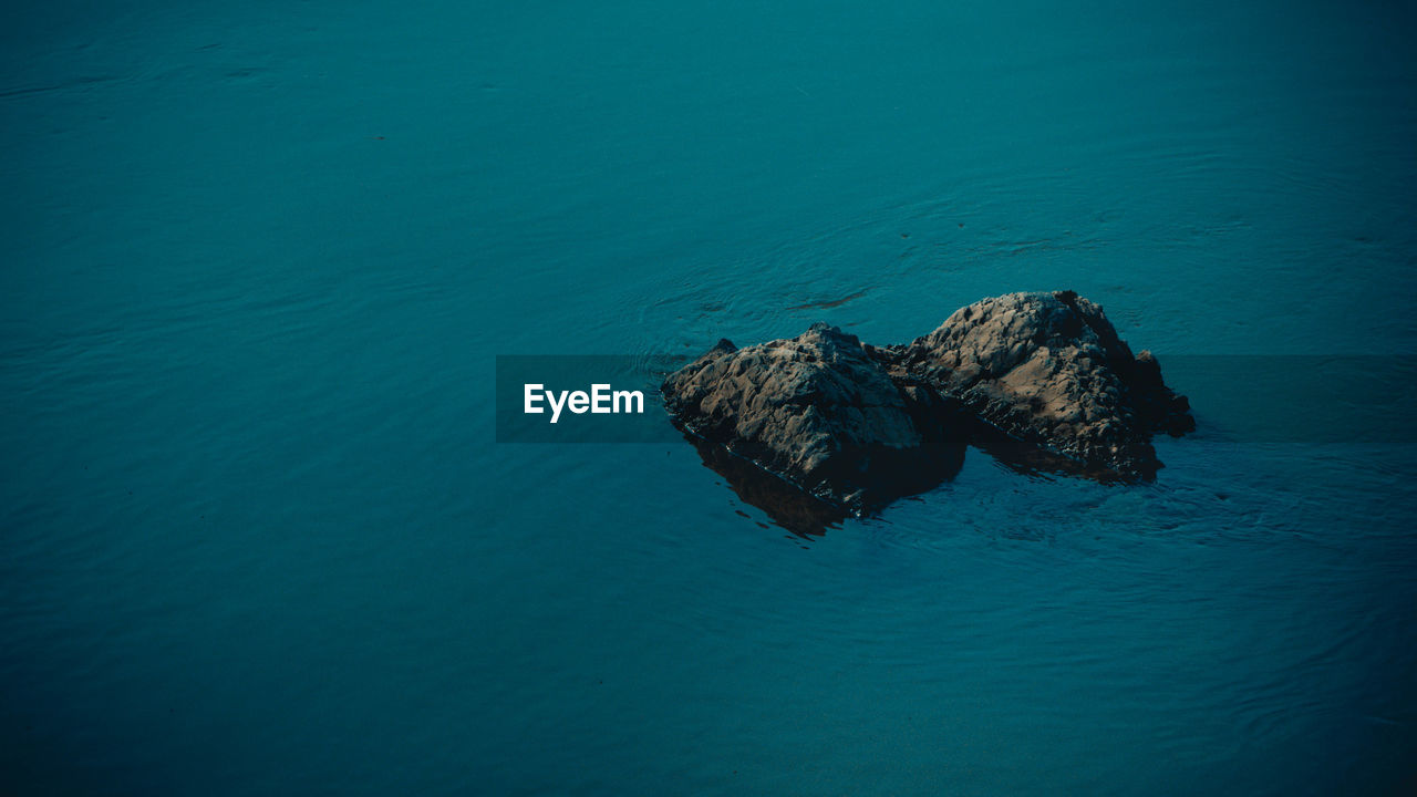 HIGH ANGLE VIEW OF ANIMAL ON ROCK