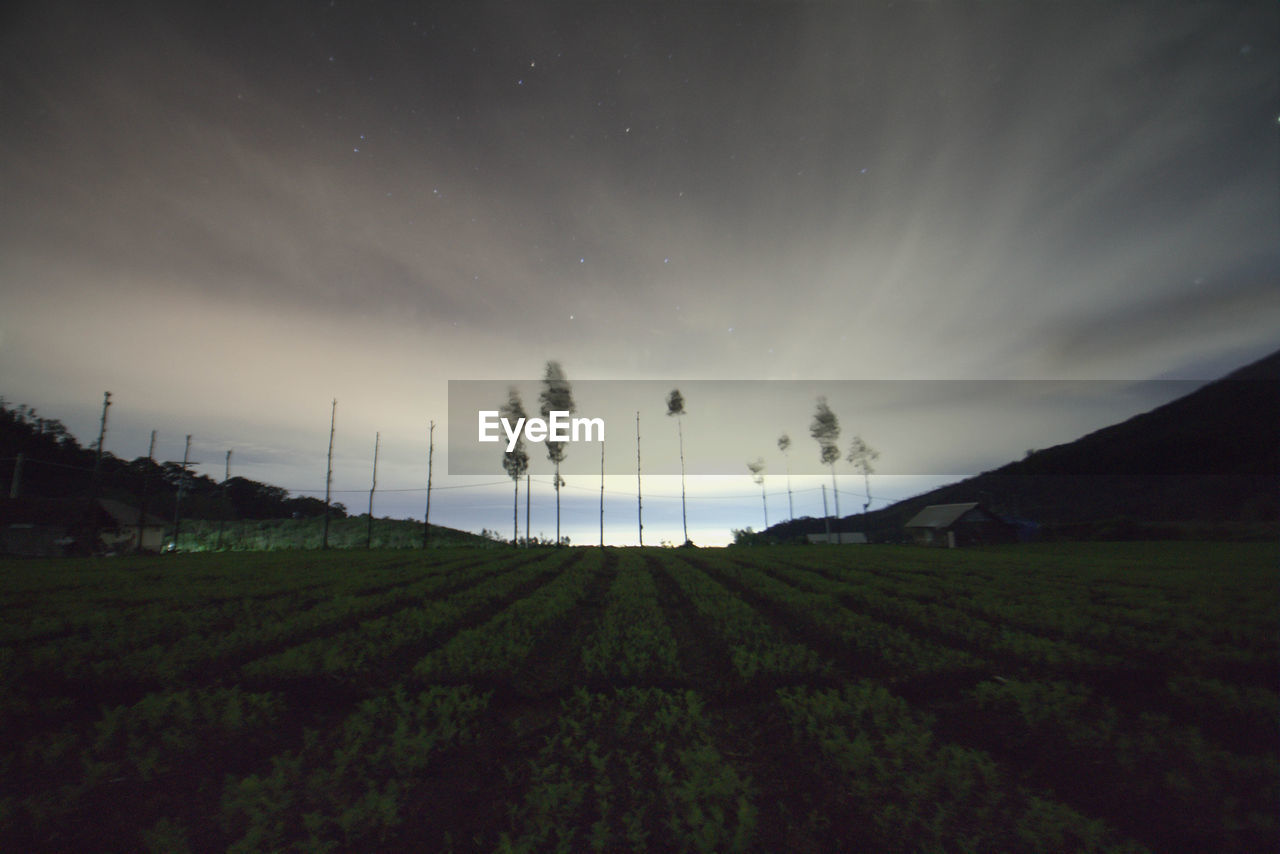 SCENIC VIEW OF AGRICULTURAL LANDSCAPE AGAINST SKY