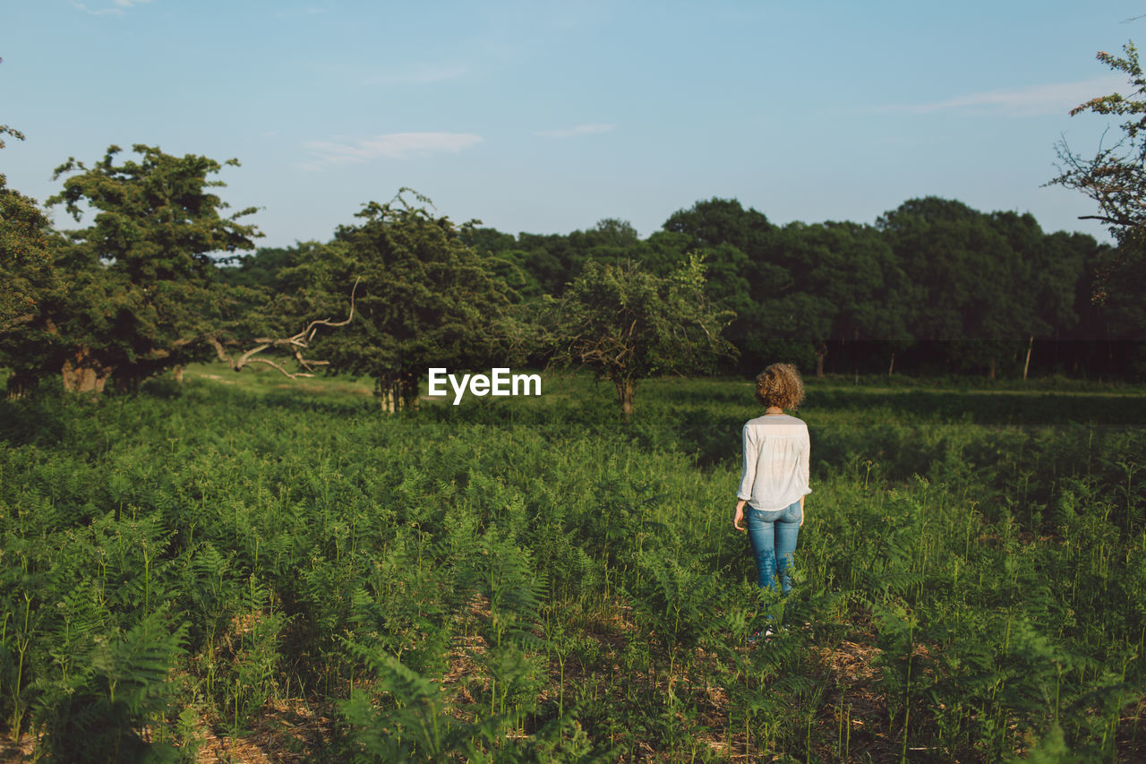 Rear view of mid adult woman standing amidst plants on field