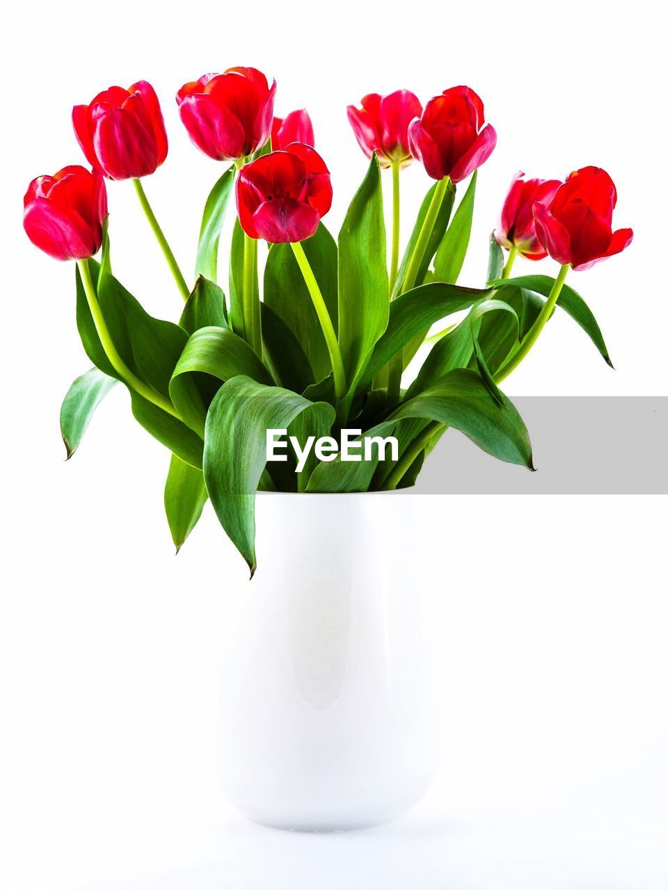 Close-up of vase over white background