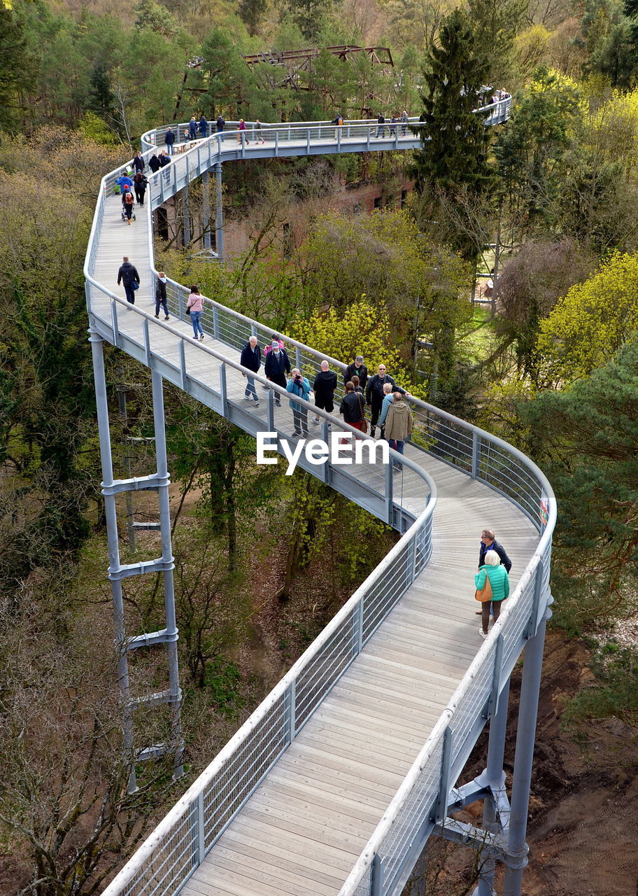 High angle view of people on footbridge in forest