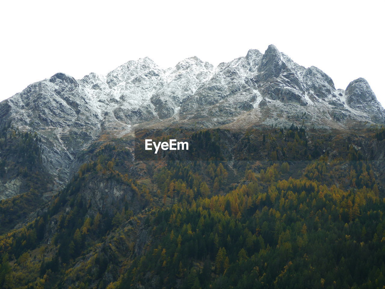 Low angle view of trees and mountains against clear sky