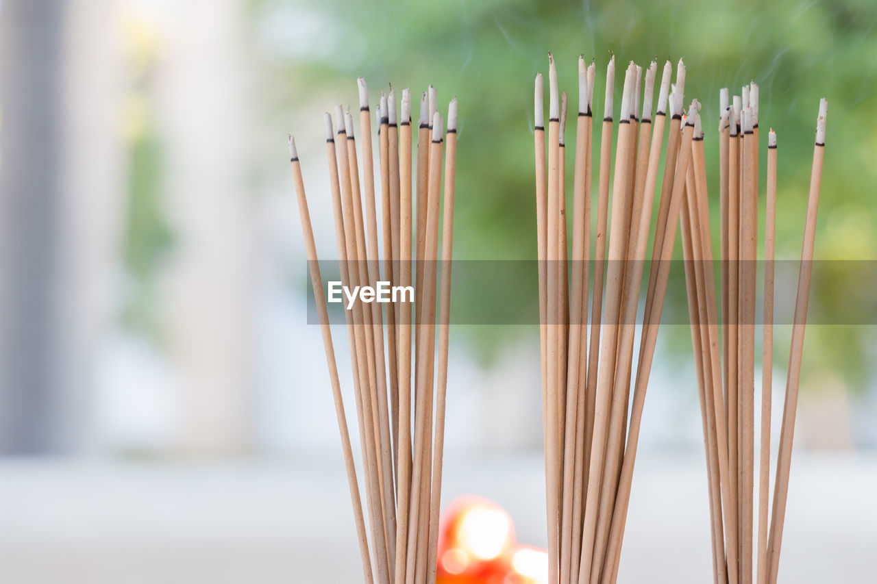 Close-up of incense sticks at temple