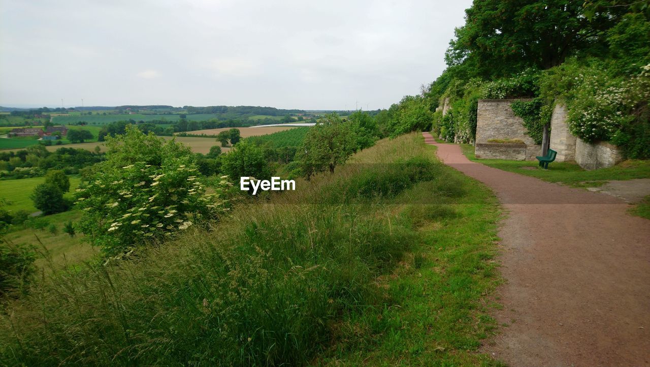 SCENIC VIEW OF GREEN LANDSCAPE