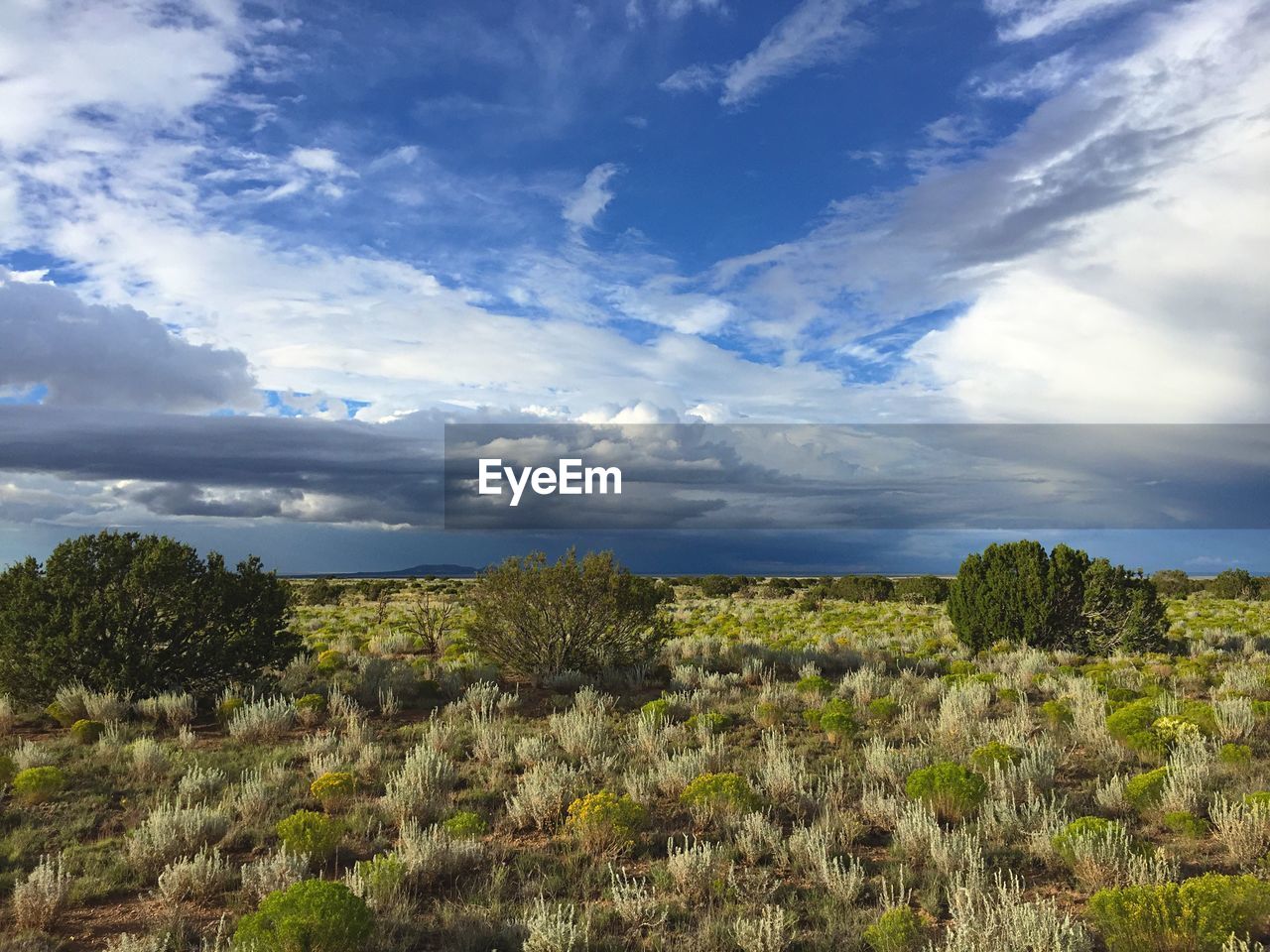 Scenic view of landscape against cloudy sky