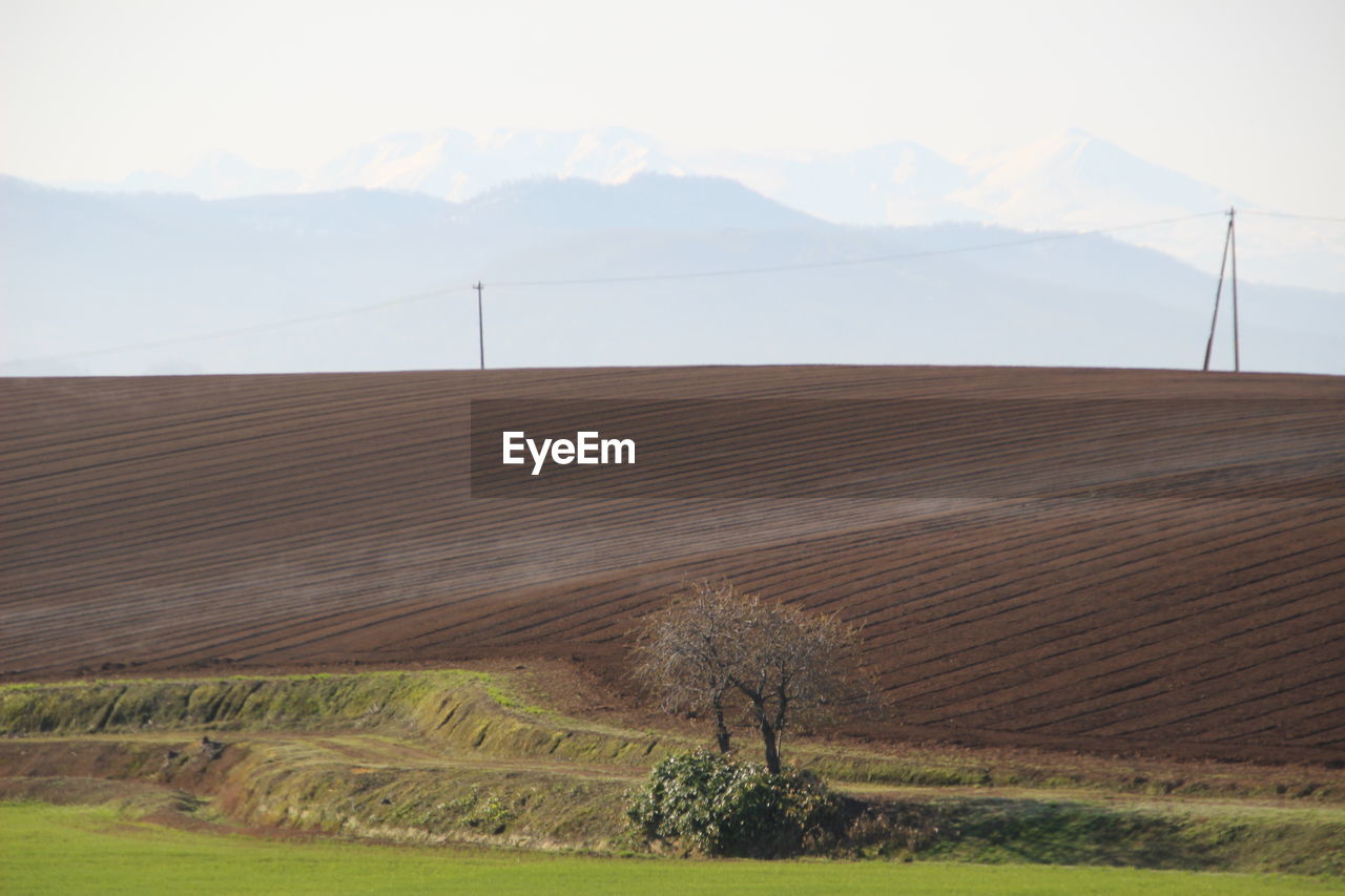 SCENIC VIEW OF AGRICULTURAL LANDSCAPE AGAINST SKY