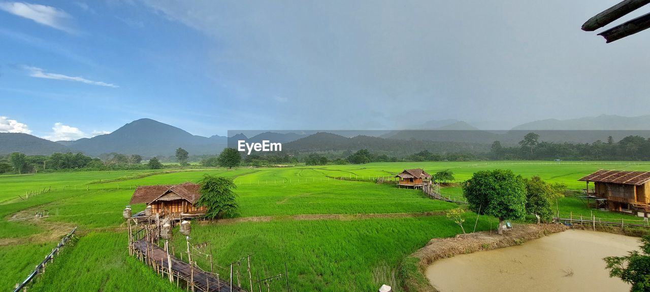 PANORAMIC SHOT OF AGRICULTURAL FIELD AGAINST SKY