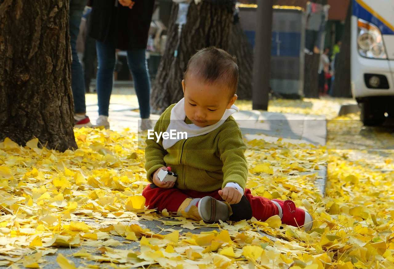 Cute toddler boy sitting on field during autumn