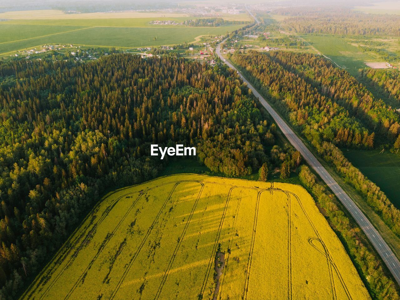 High angle view of agricultural field