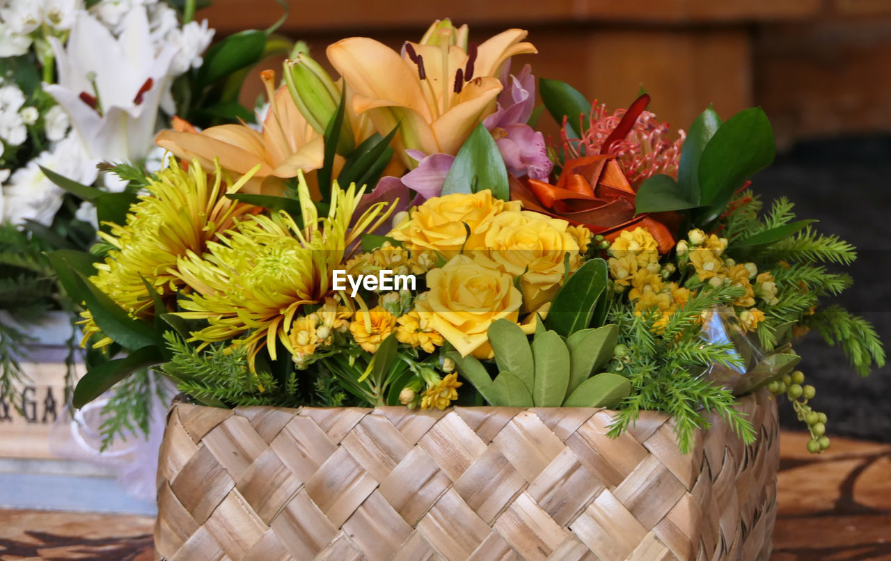 Close-up of yellow flowering plant in basket