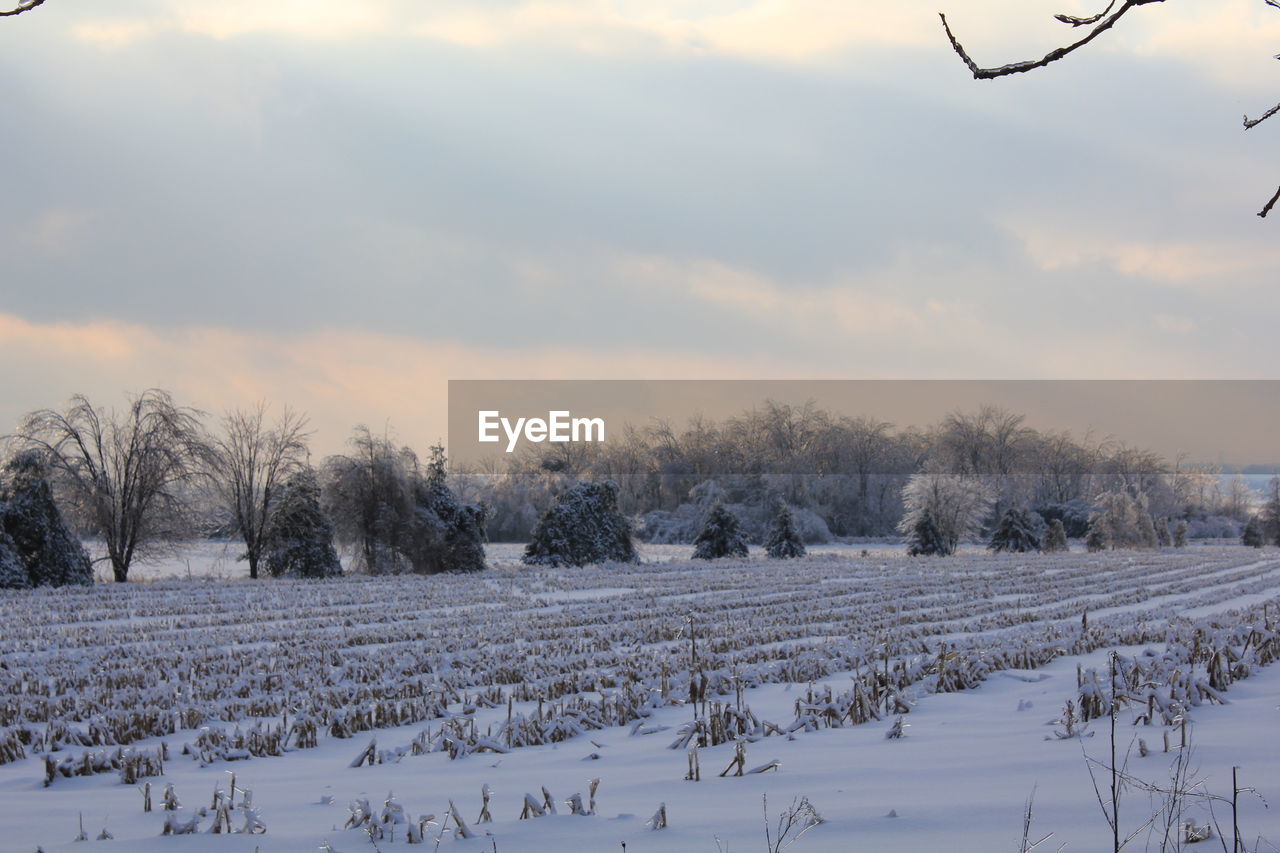 Snow covered landscape against the sky