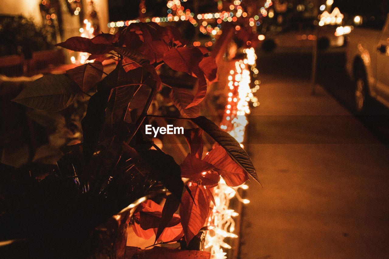 REFLECTION OF PEOPLE ON ILLUMINATED FIRE AT NIGHT DURING CHRISTMAS