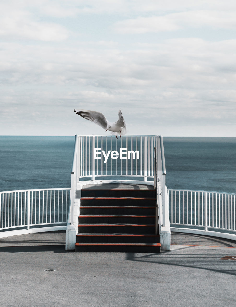 Seagull on railing by sea against sky