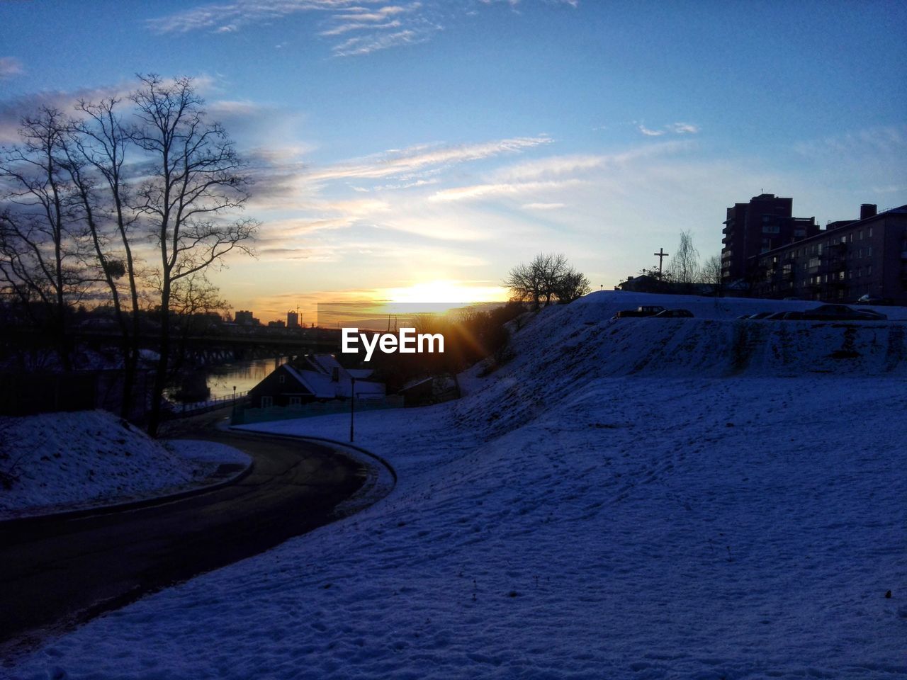 SNOW COVERED PLANTS AGAINST SKY AT SUNSET