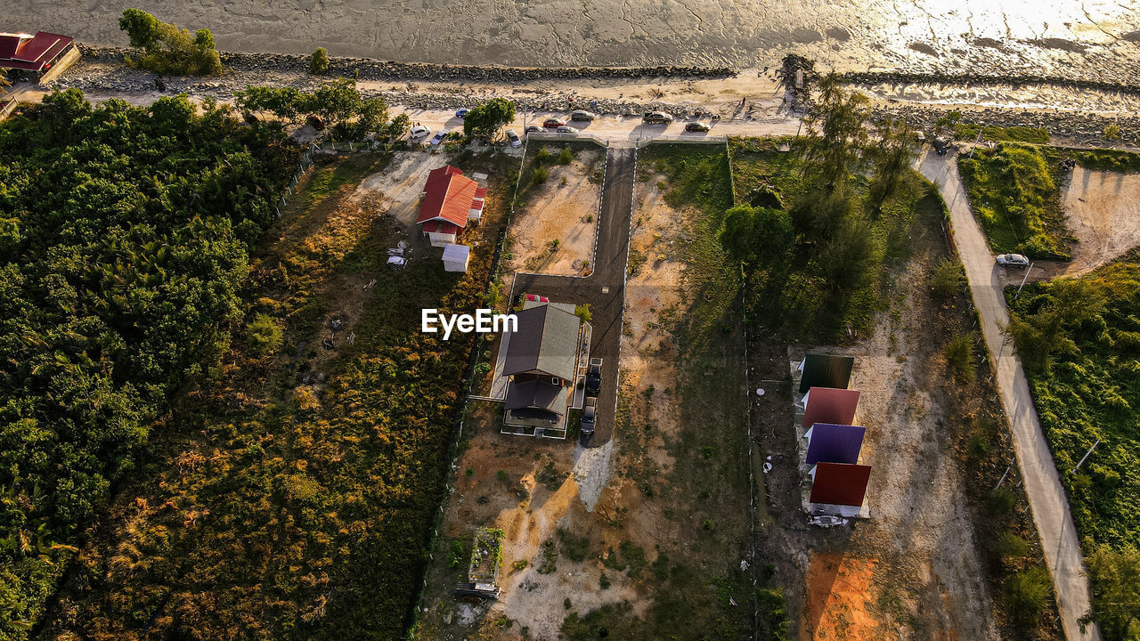 HIGH ANGLE VIEW OF TREES AND BUILDINGS