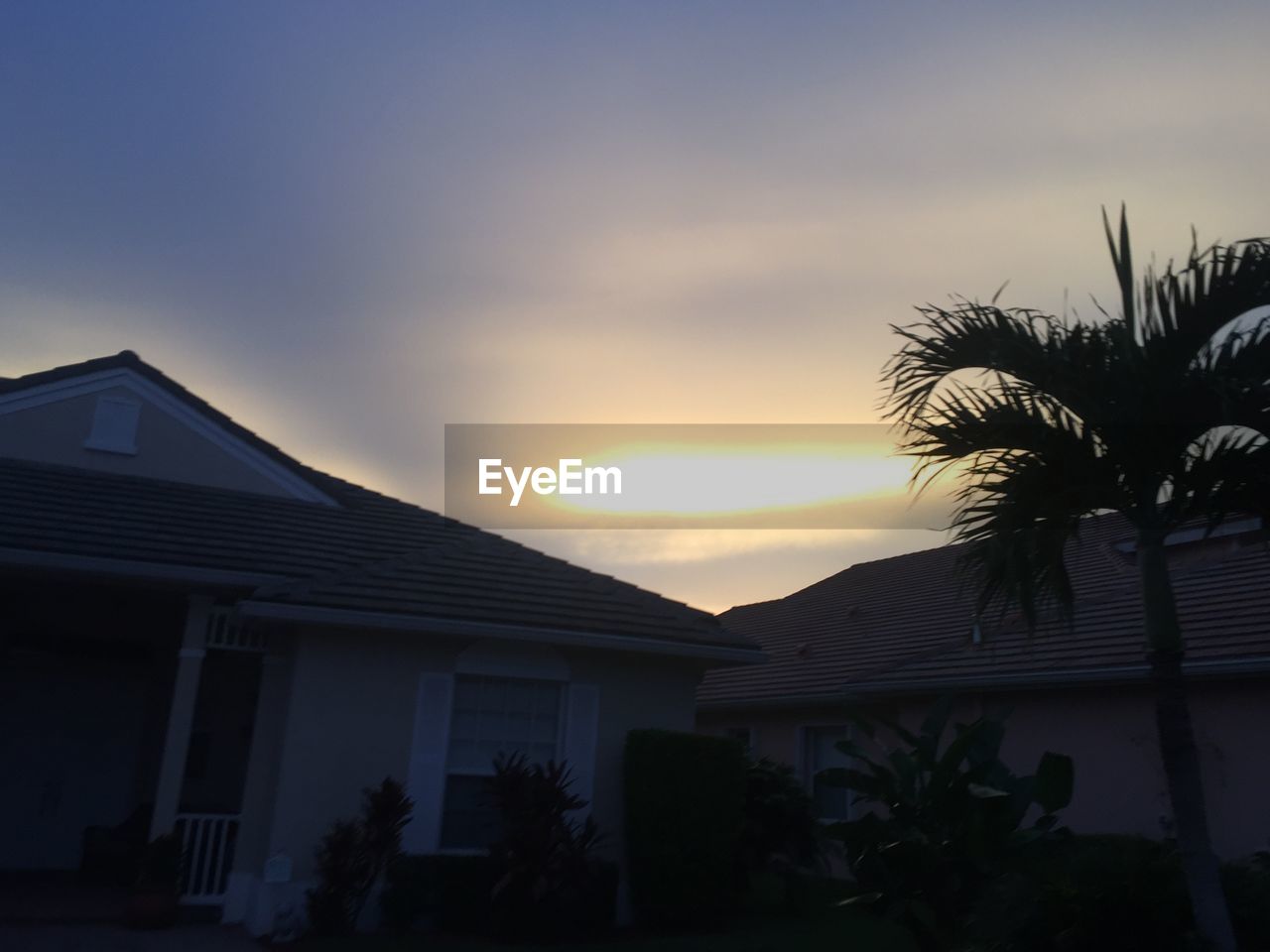 LOW ANGLE VIEW OF PALM TREES AGAINST SUNSET