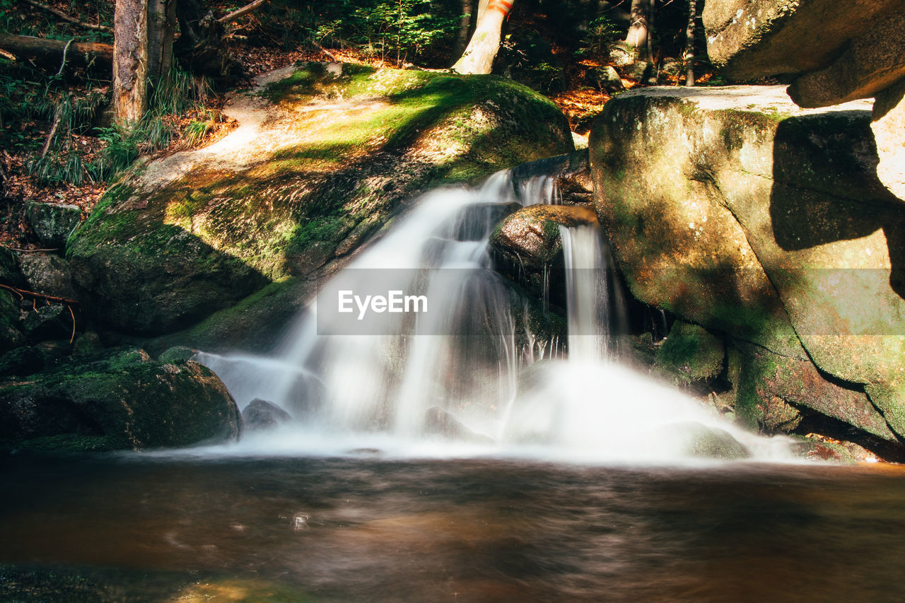 Scenic view of waterfall in forest