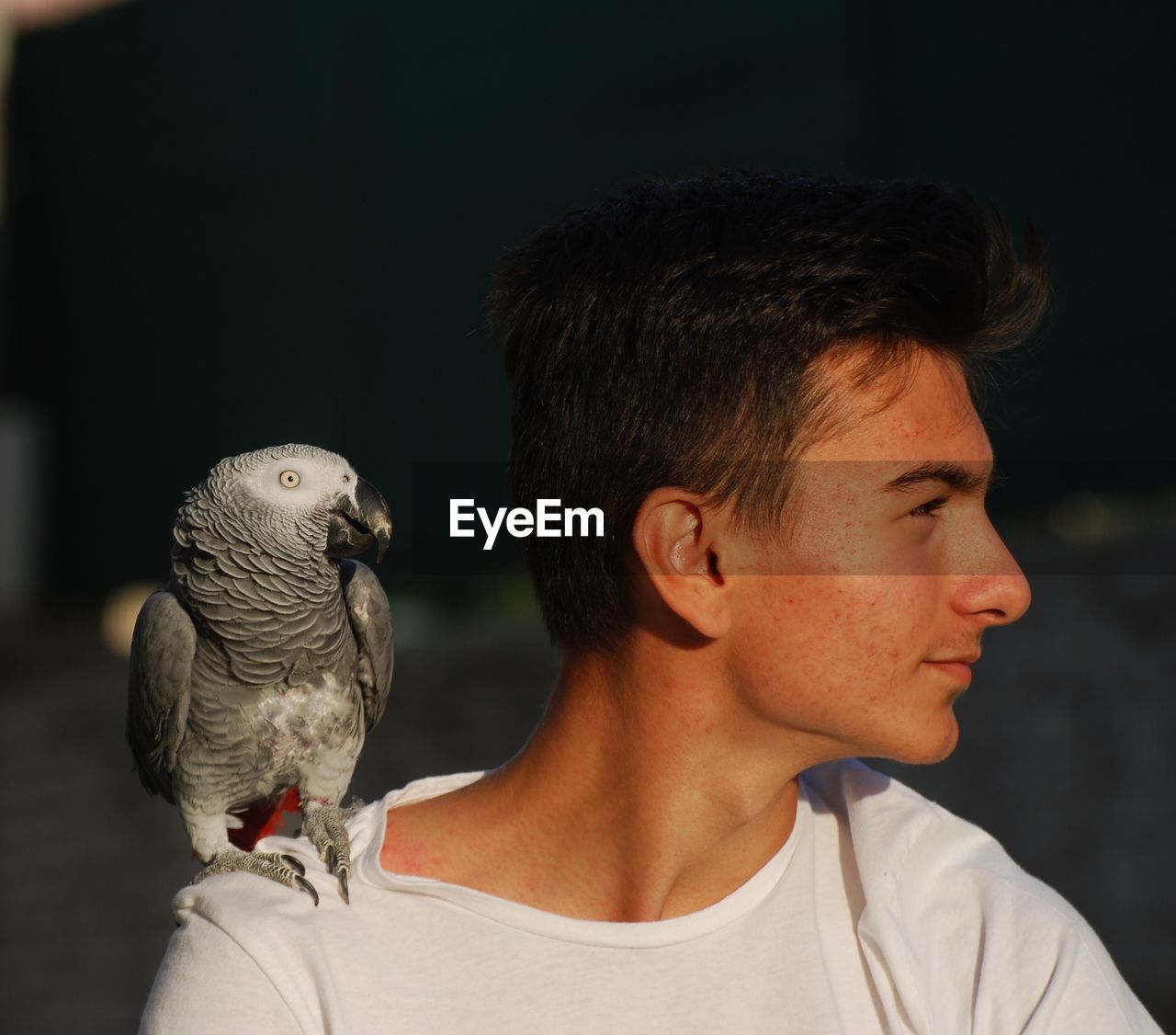 Close-up of teenage boy with bird