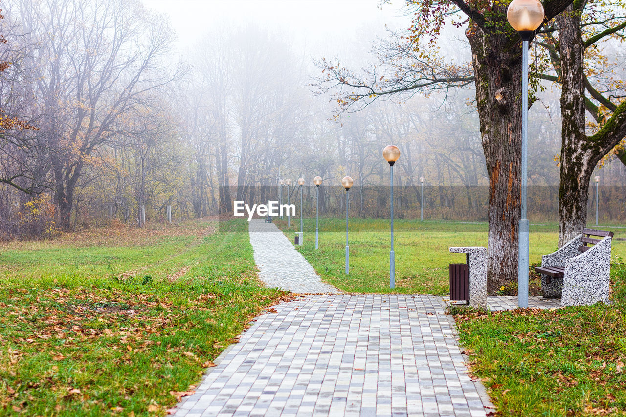 Autumn landscape in the fog with a gray paving stone path, a bench, old trees