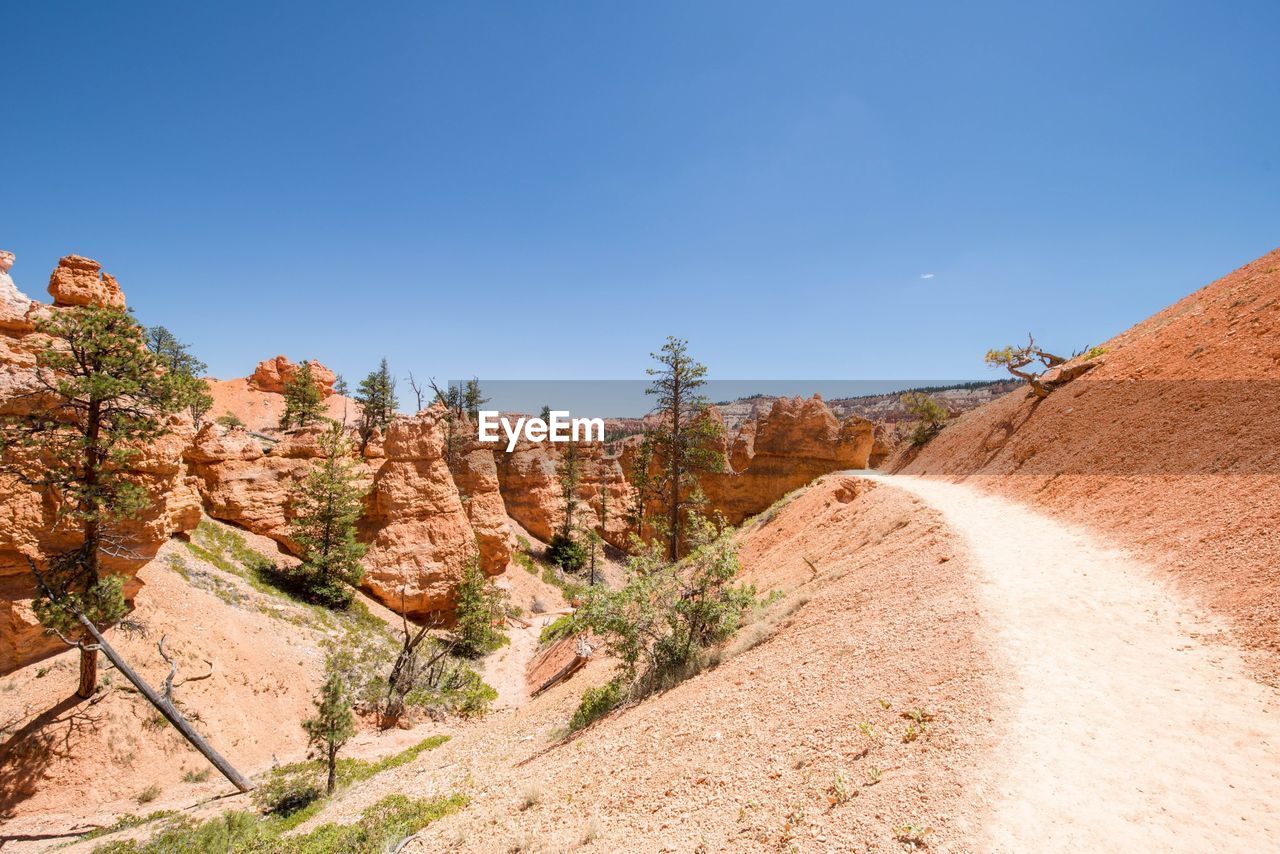 Trail in bryce canyon