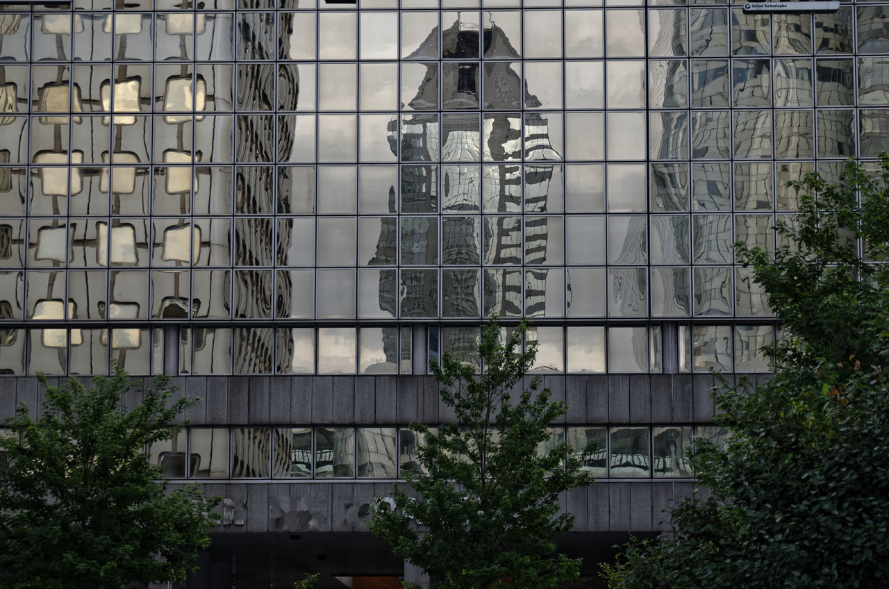 PLANTS AGAINST BUILT STRUCTURE