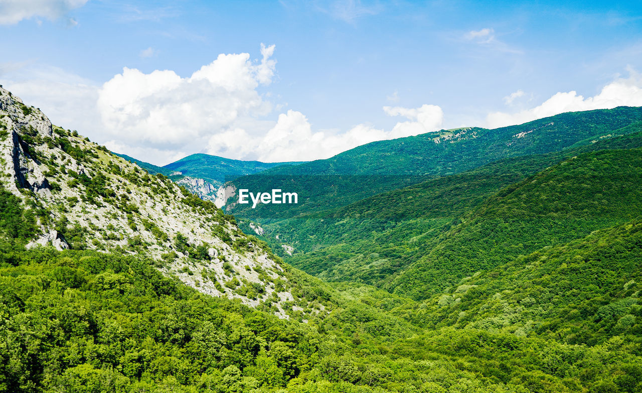 SCENIC VIEW OF MOUNTAIN AGAINST SKY